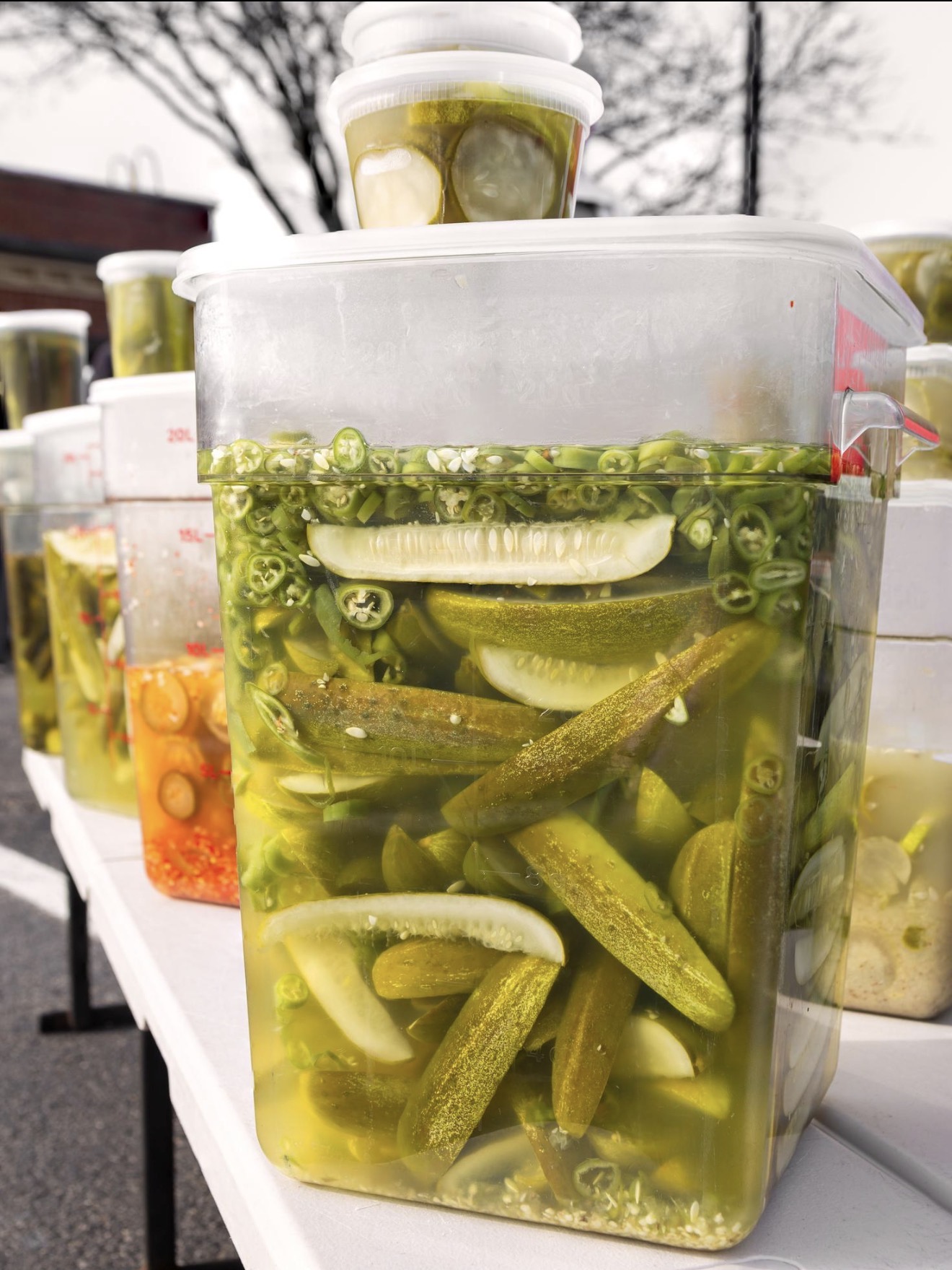 <p><strong>Pickles</strong></p><p></p><p></p><p></p><p><span data-name="check_mark_button" data-type="emoji">✅</span>PROPER<span data-name="check_mark_button" data-type="emoji">✅</span></p>