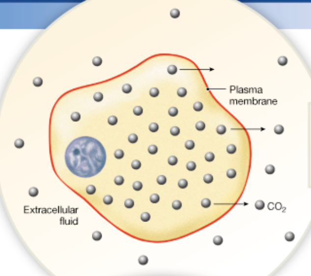 Chapter 2

What is diffusion 