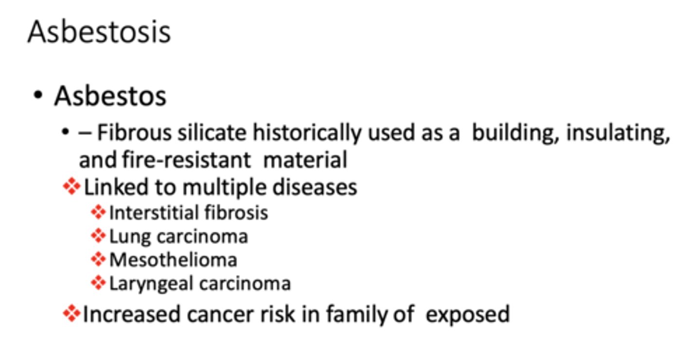 <p>Asbestos</p>