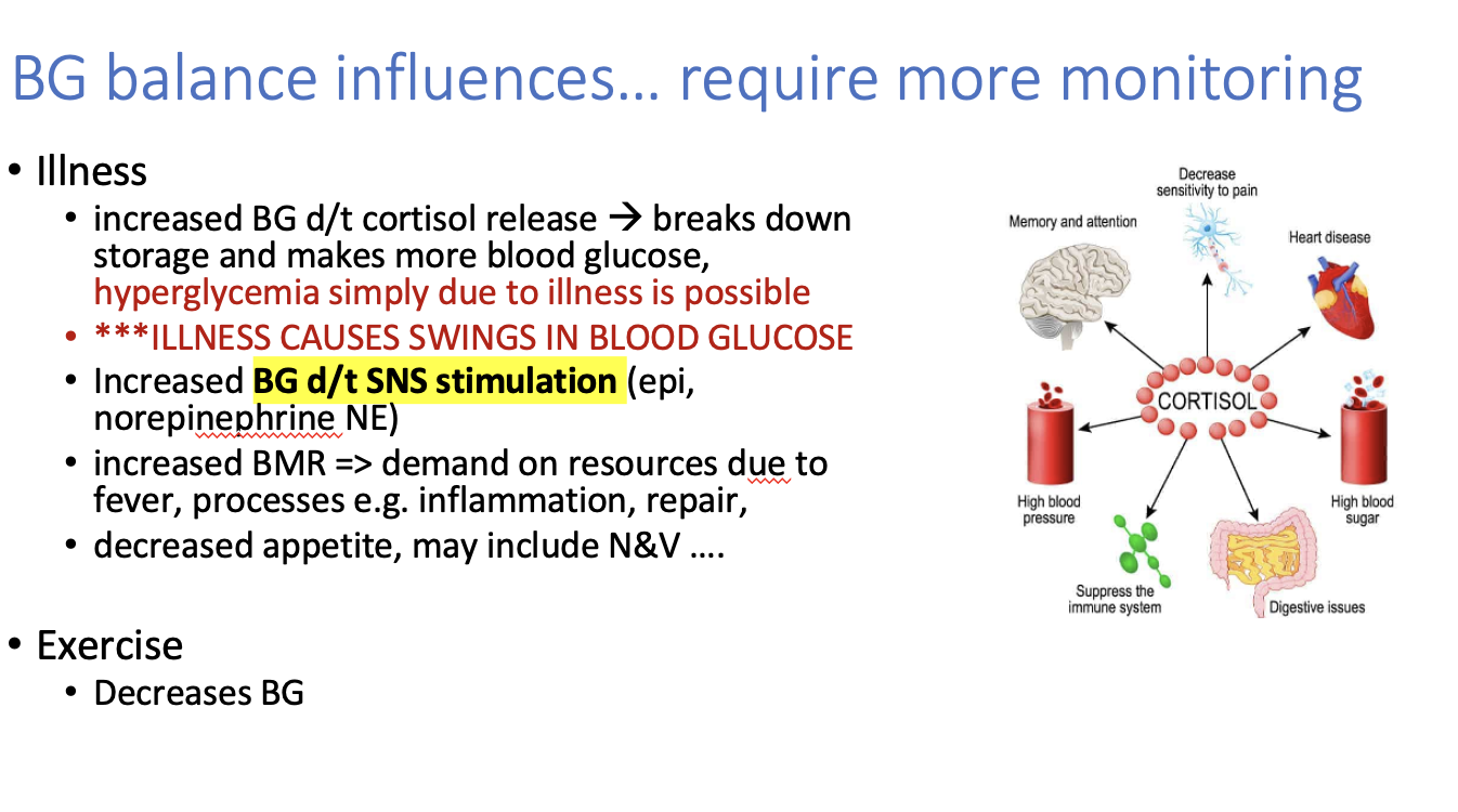 <ul><li><p><span style="color: green;"><strong>Illness (increases BG)</strong></span></p></li><li><p><strong>SNS stimulation =</strong>=> increases BG</p></li><li><p><strong>increased BMR</strong> (basal metabolic rate) ==> demand on resources due to fever, inflammation etc.</p></li><li><p><span style="color: red;"><strong>Excercise (decreases BG)</strong></span></p></li></ul><p></p>