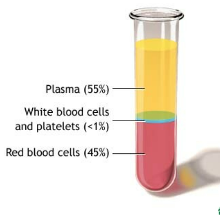 <p>the percentage by volume of red cells in your blood</p>