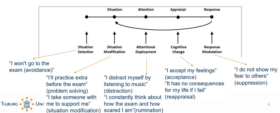 <p>Situation selection: Avoidance.</p><p>Situation modification: Problem solving, situation modification.</p><p>Attentional deployment: Distraction, rumination.</p><p>Cognitive change: Acceptance, Reappraisal.</p><p>Response Modulation: Suppresion.</p>