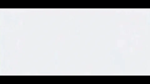 <ul><li><p>SPANISH</p></li><li><p>MEXICAN</p></li></ul><p></p>