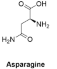 <p>ionic, hydrogen,</p><p>DEPENDS ON THE PH&nbsp;</p>