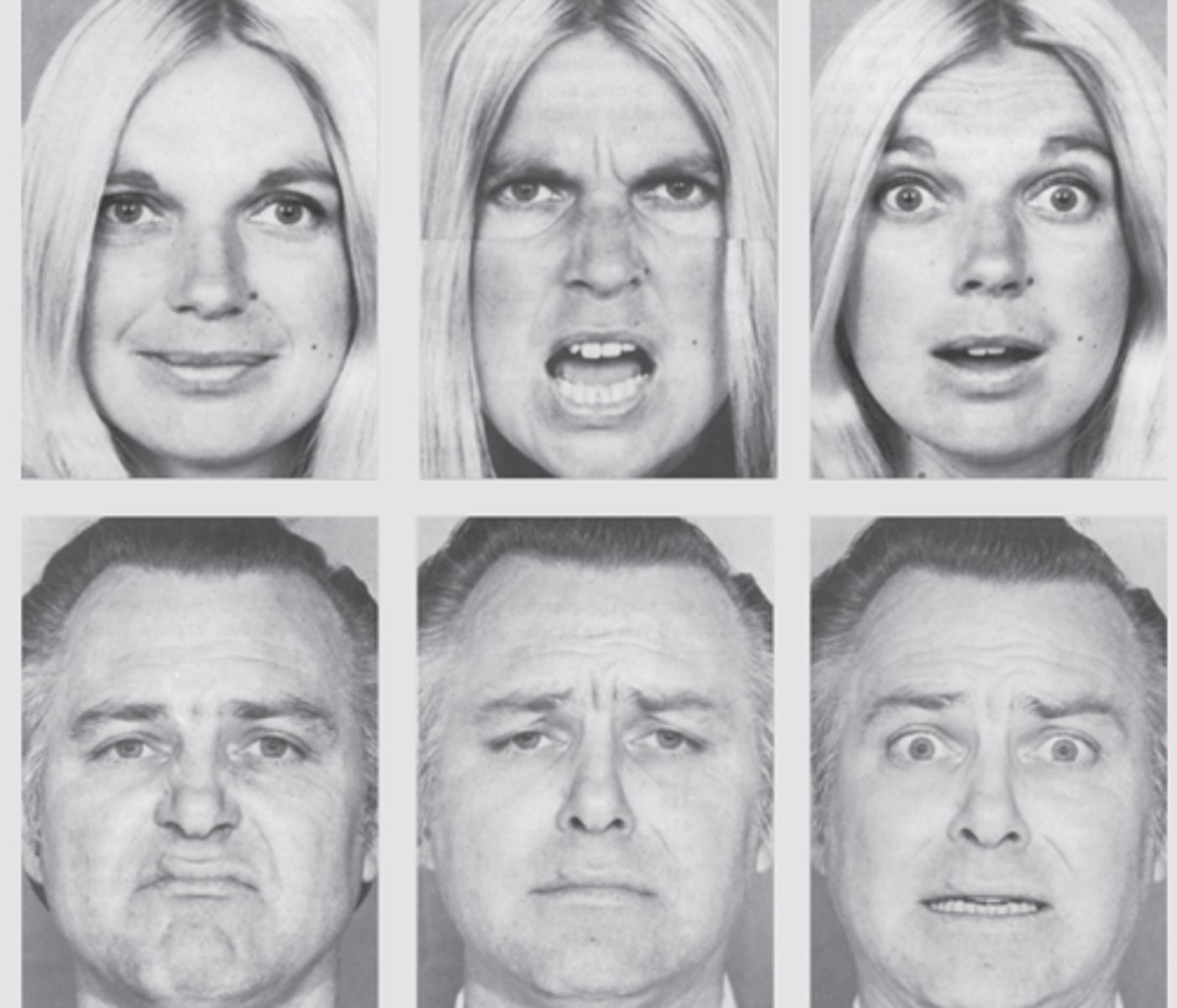 <p>- found that facial expressions are universal.</p>