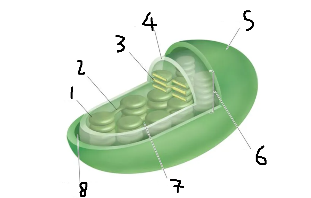 <p>Label this diagram</p>