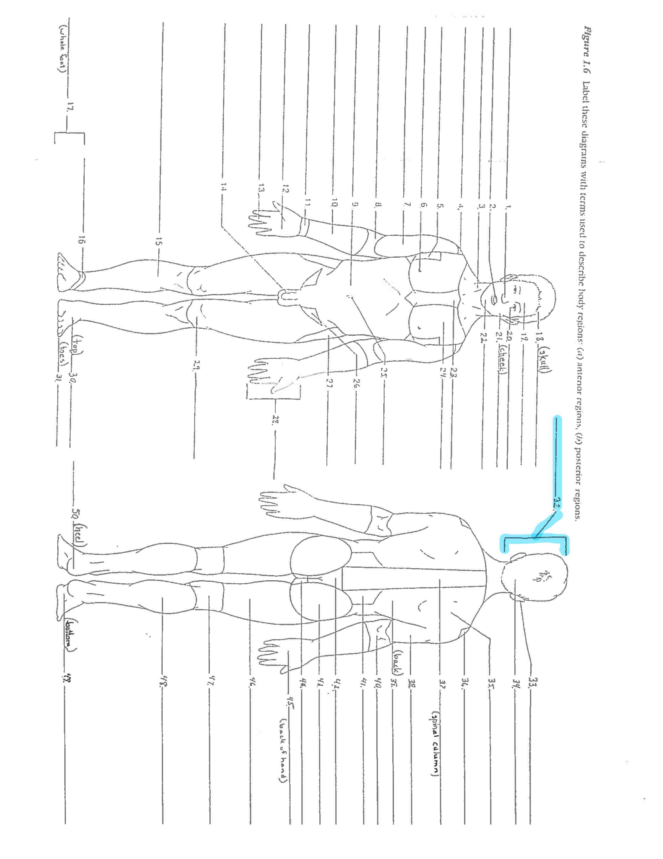 <p>Line 31</p>