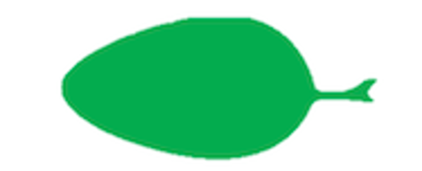 <p>What shape is this leaf?</p>