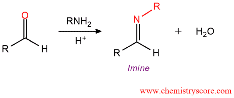 <ol><li><p>aldehyde/ketone [2], RNH2 (1º amine)</p></li><li><p>H+ catalyst, buffered 4-5 pH</p></li><li><p>imine (C=N)</p></li></ol>