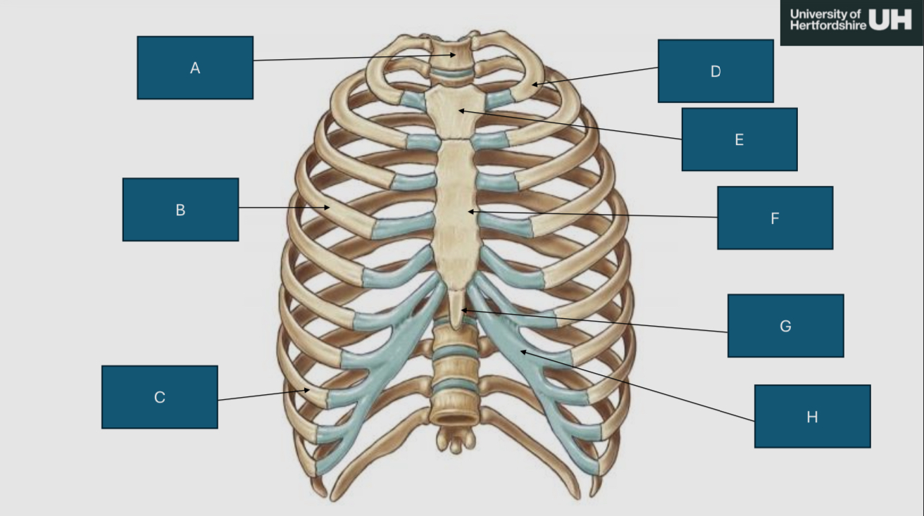 <p>Label the parts</p>