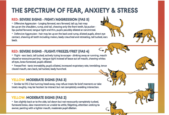 <p>Acute stress signalen - gedrag</p>