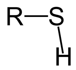 <p>Sulfhydryl Group</p>