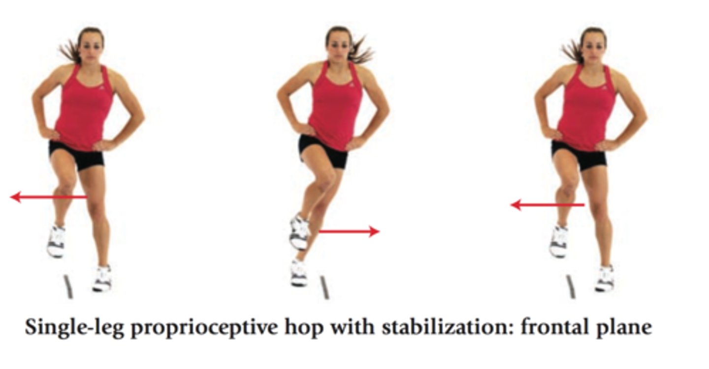 <p>ability to sense POSITION of the body and limbs</p>