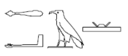 term image