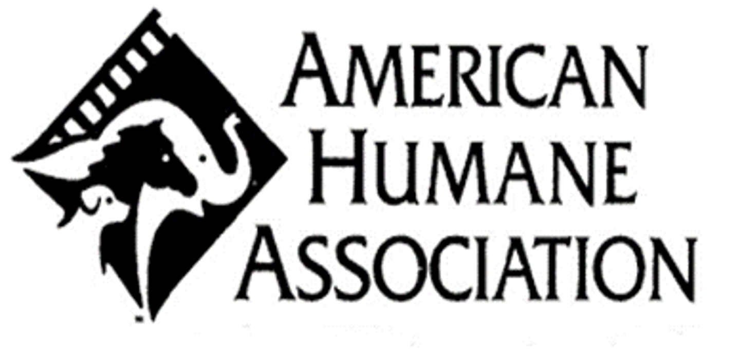 <p>committed to ensuring the safety, welfare and well-being of animals. We are first to serve, wherever animals are in need of rescue, shelter, protection or security.</p><p>OK with animal research that strictly follows humane guidelines and thoroughly looks for alternatives. They do not fund research that causes any induction of illness or injury to animals or has terminal endpoints.</p>