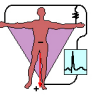 <p>Which augmented lead takes an image from below?</p>