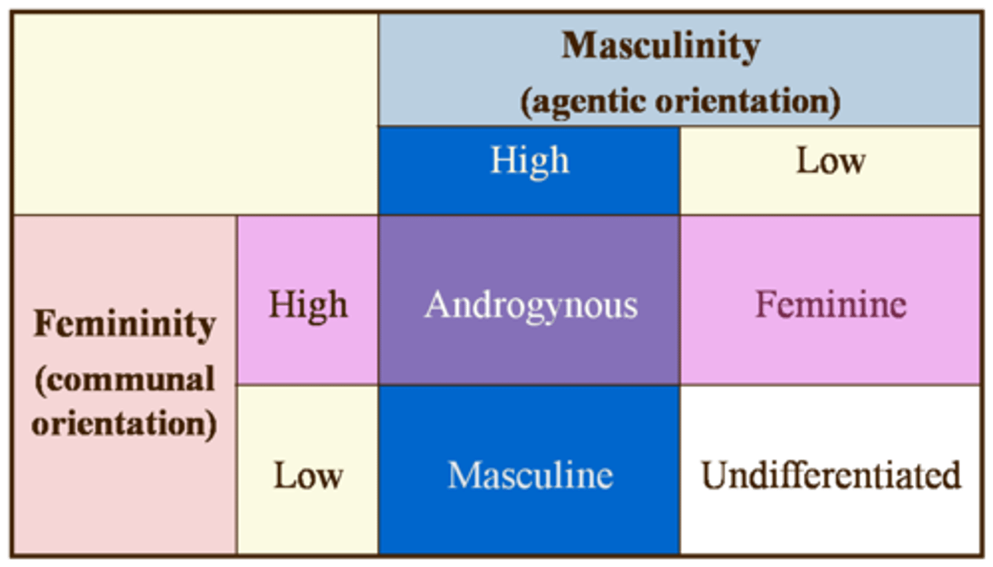 <p>displaying both traditional masculine and feminine psychological characteristics</p>