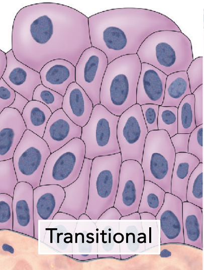 <p>What is this?</p>