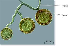 <p>What is this?</p>