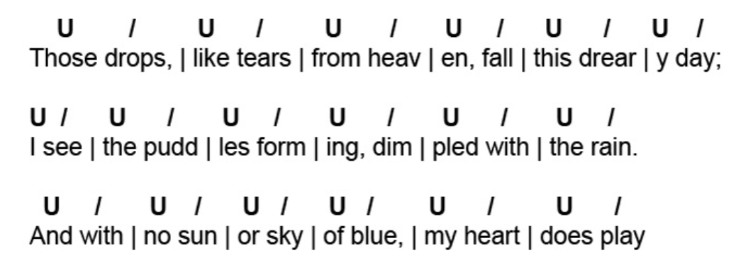 <p>a metrical line of verses consisting of six feet</p>