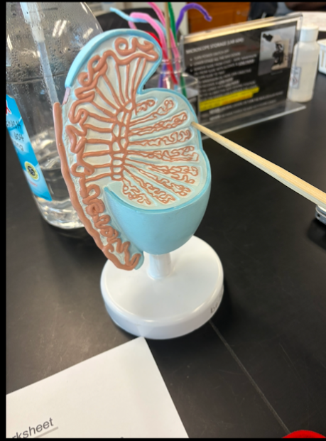 <p>What is this?</p>