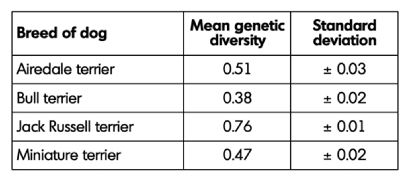 <p>1. - Jack Russell (genetic) diversity is (significantly) greatest; <br>- Bull terrier (genetic) diversity is (significantly) smallest / is most inbred; <br>- Miniature terrier and Airedale terriers are similar; <br>- Standard deviations do not overlap / do overlap with correct ref to significance;<br><br>2. - (Bull terrier) breeding has included a genetic bottleneck/ small population/more inbreeding/ greater selection (pressure); <br>- Reduced number of different alleles/size of gene pool;<br><br>OR <br><br>- Miniature (terrier) breeding has included more outbreeding/less selection (pressure); <br>- Increased number of different alleles/larger gene pool/more variety of alleles;</p>