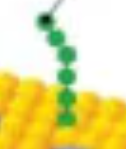 <p>name?</p>