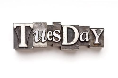 <p>Tuesday</p>