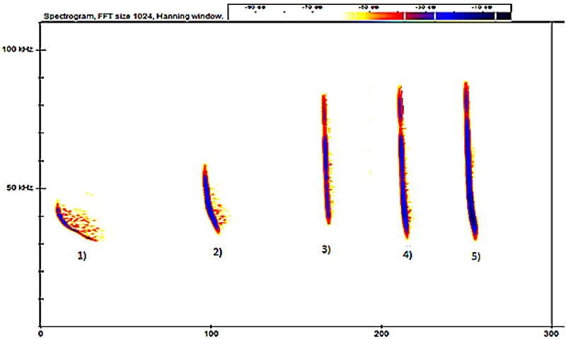 <p>Frequency over time with intensity represented by colour</p>