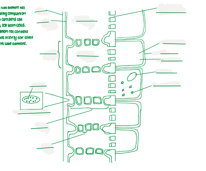 <p>fill in the gaps </p>