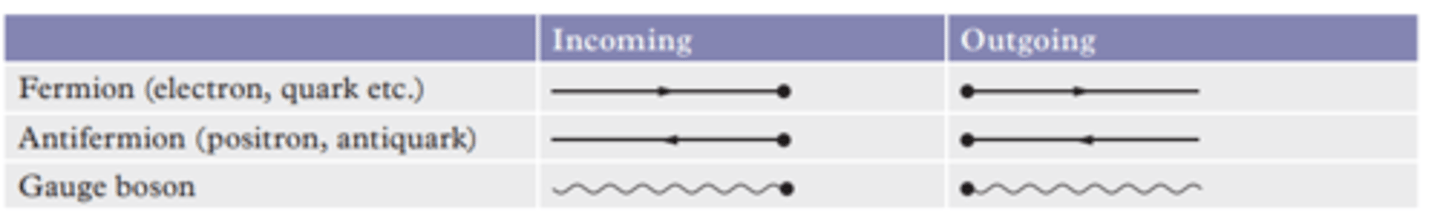 <p>For external particles (real particles) If the particle is incoming, the vertex will be to the right of the particle, if it is outgoing, the vertex will be to the left of the particle. For internal lines (representing virtual particles) the vertices are at both ends.</p>