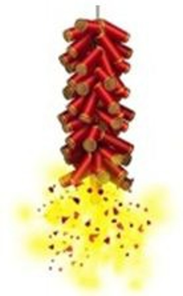 <p>fàng biān pào</p><p>to set off fire crackers</p>