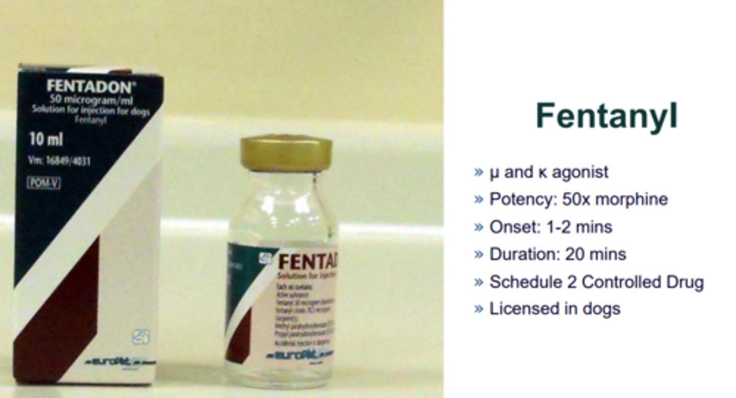 <p>Extremely powerful opioid</p>