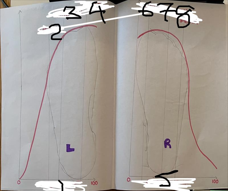 <p>Fill in the gaps</p>