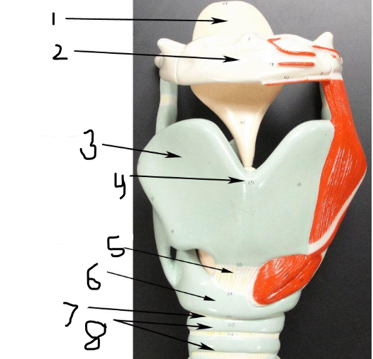 <p>2</p>