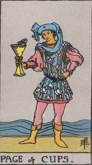 <p>page of cups</p>