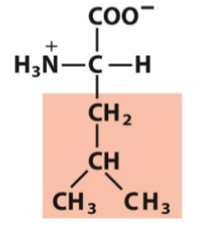 <p>Nonpolar, aliphatic</p>