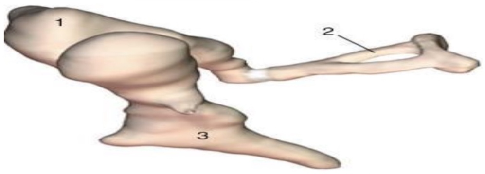 <p>1</p>