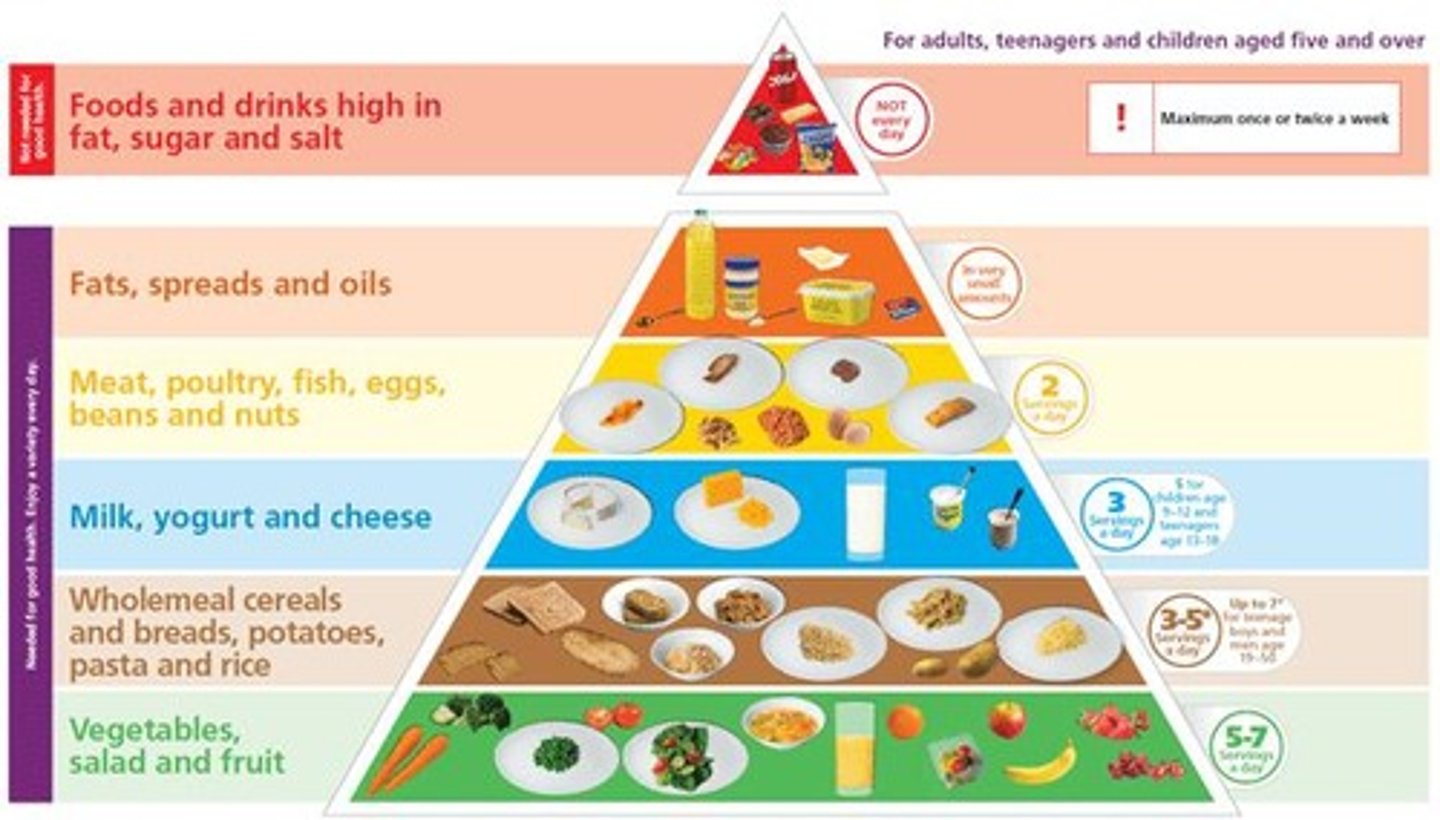 <p>Visual representation of food groups; use sparingly.</p>