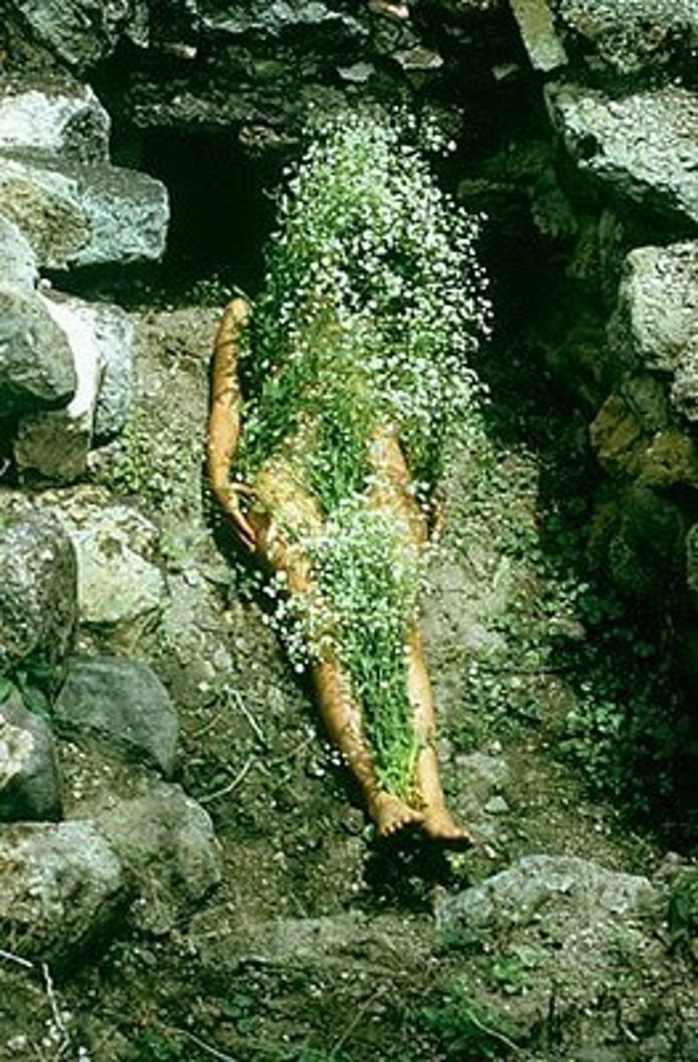 <p>part of her renowned Silueta series, features the artist lying nude in a Zapotec tomb, covered in white flowers, blending her body with the earth. The work serves as a powerful performance photo exploring life, death, rebirth, and a return to the maternal earth.</p><p>Symbolism of the Tomb: Shot at the Zapotec archaeological site of Yagul in Mexico, the photograph places her inside a pre-Hispanic tomb, highlighting the concept of being "rooted" in ancient, sacred land.</p>