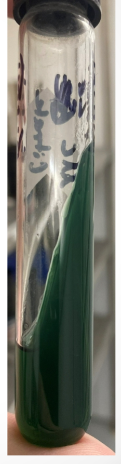 <p>What agar is used in this test? What bacteria was used and what does the reaction suggest?</p>