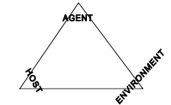 <p>The Host, Agent and Environment</p><p></p><p>Early emphasis on microbes as primary disease causes made them be separated from other factors such as husbandry, trauma and toxic agents (environmental factors)</p>