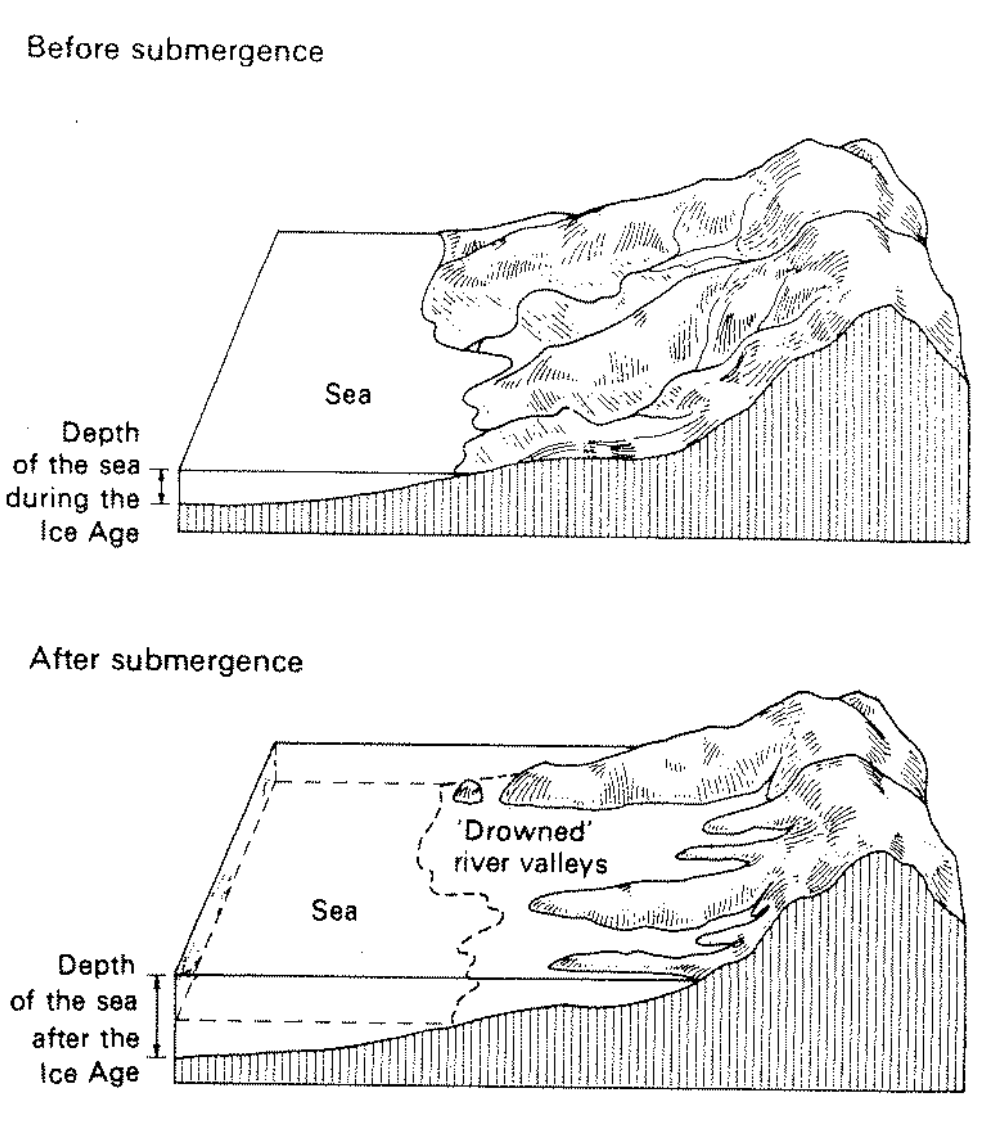 <p>What coastline is shown here?</p>