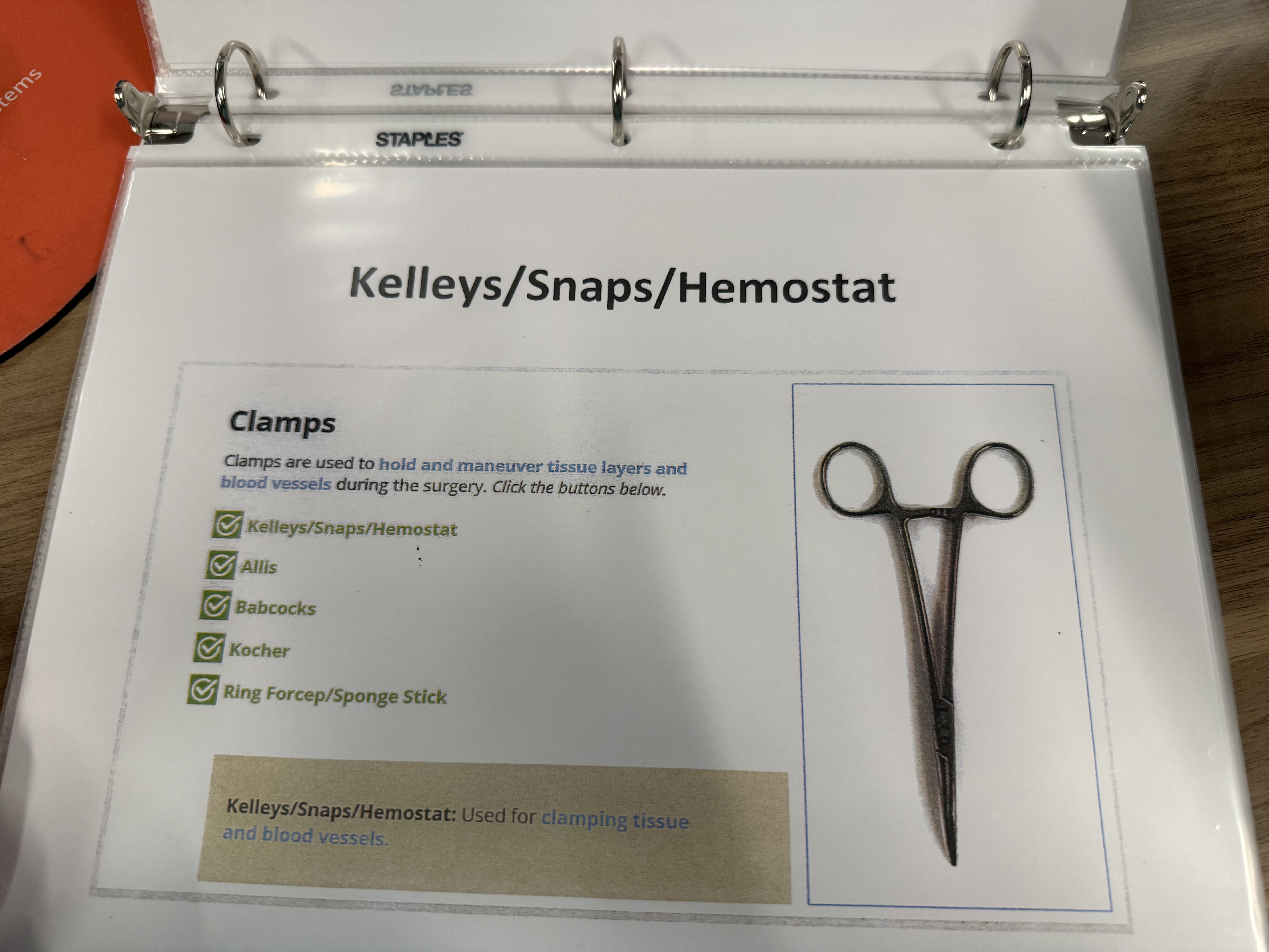 <p>Kelleys/ Hemostats (Hemo)</p>