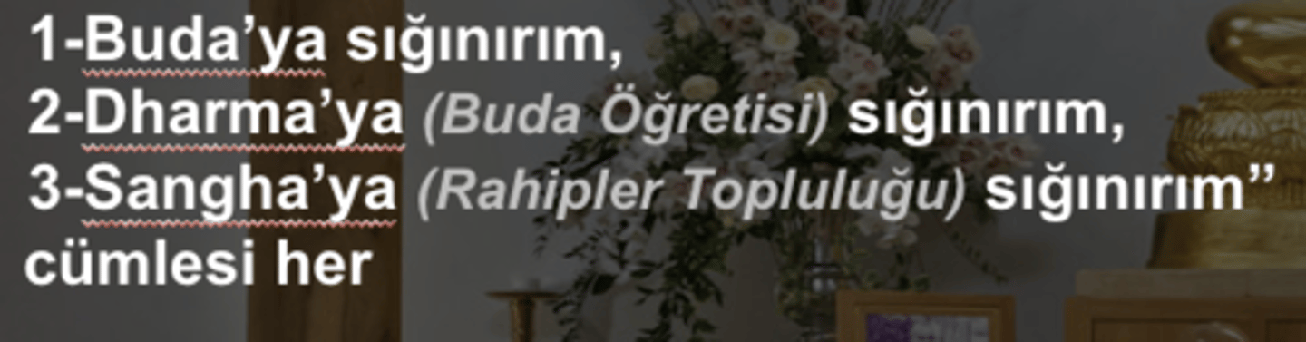 <p>Budizm'de iman edilen üç cevher anlamına gelir. Buda, Doktrin ve Sangha temsil eder.</p>