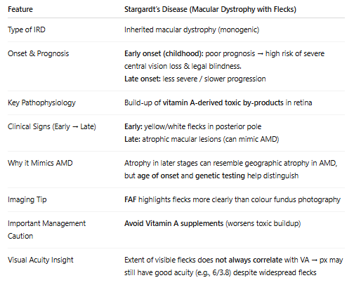 <ul><li><p>due to ABCA4 gene mutations </p></li></ul><img src="https://knowt-user-attachments.s3.amazonaws.com/a0f9912c-c2c4-4e05-9fee-bc68f668f9d6.png" data-width="25%" data-align="center"><img src="https://knowt-user-attachments.s3.amazonaws.com/baba2351-4699-412e-a60f-c5e8de4f05d9.png" data-width="25%" data-align="center"><p>Diff bw normal imaging and FAF imaging when showing flecks:</p><img src="https://knowt-user-attachments.s3.amazonaws.com/bb17e6b9-385b-4c7b-89f5-c36004b21ca9.png" data-width="25%" data-align="center"><p></p><p></p>