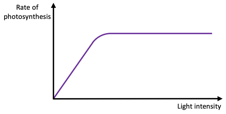 <p>The graph below shows the rate of photosynthesis at different light intensities.</p><p>a) Describe the trend shown in the graph. (2)</p>