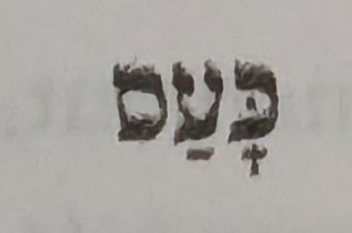 term image