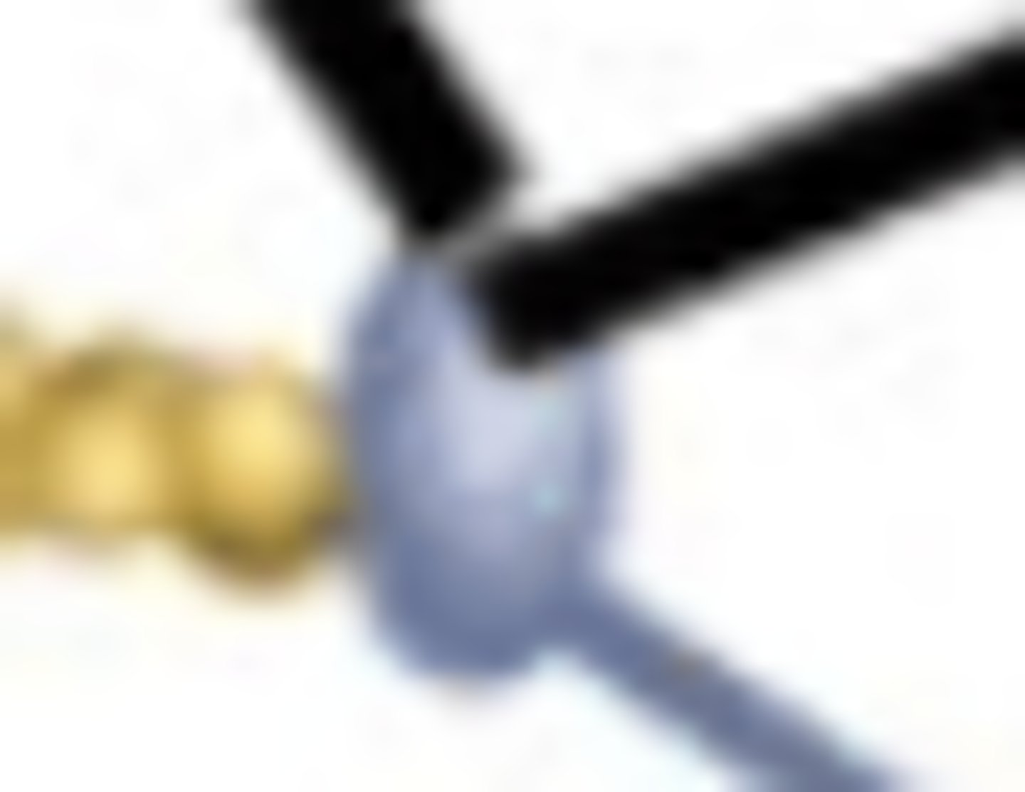 <p>- found in the Z disc</p><p>- binds to actin molecules of the thin filaments and to titin</p>