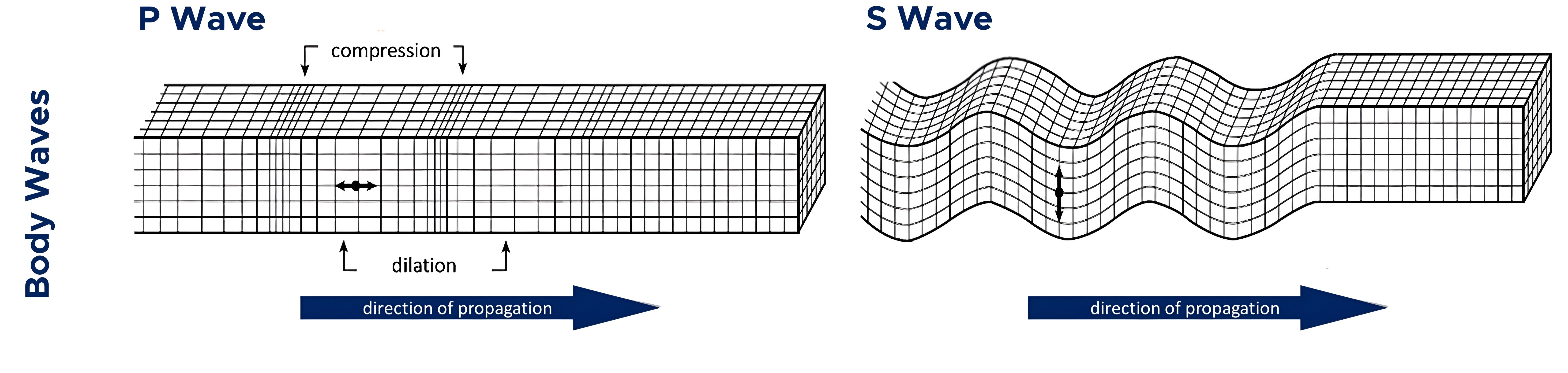 <p>compression; shear</p>